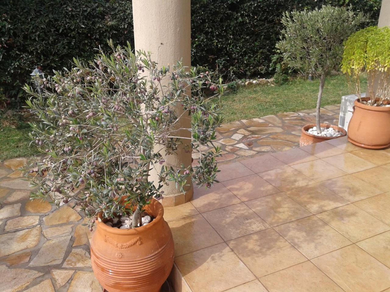 אלכסנדרופולי Avenue Luxury Apartments מראה חיצוני תמונה